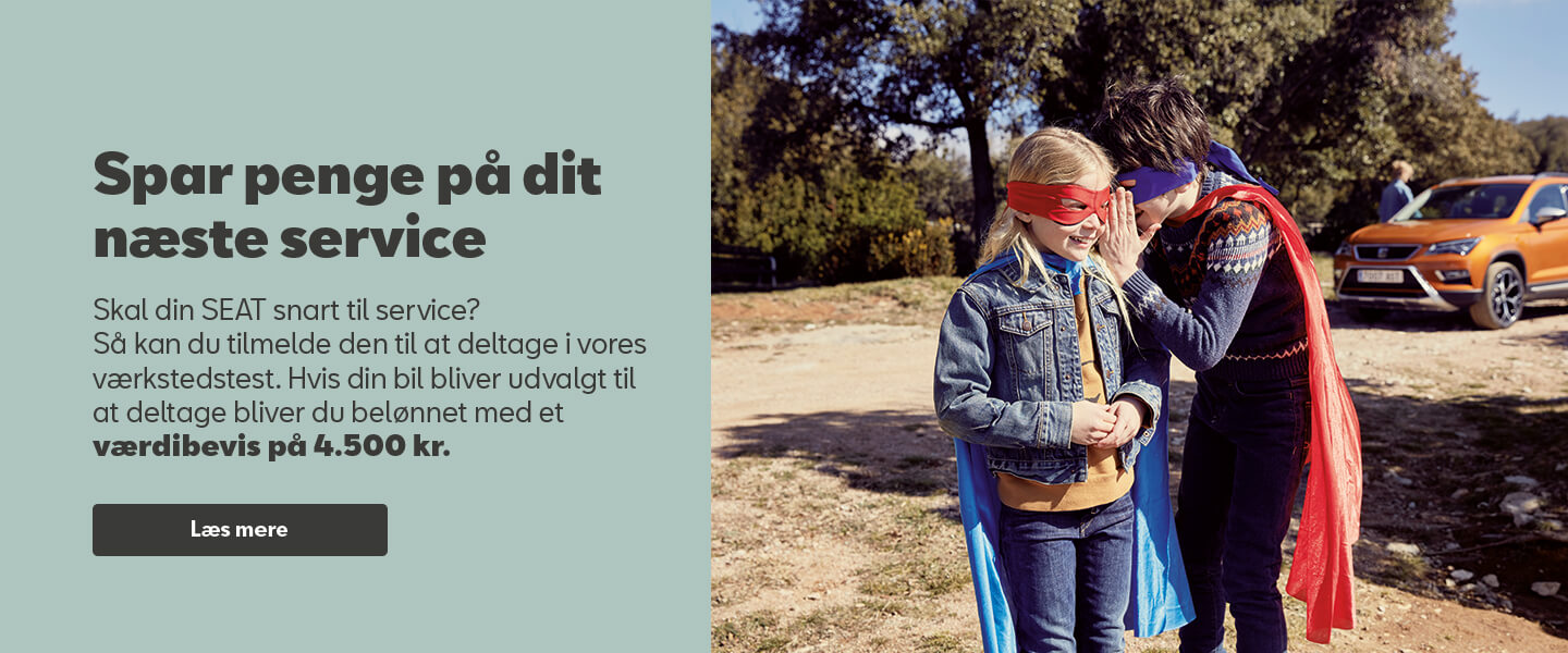 Værkstedstest billede